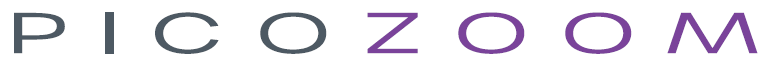 PicoZoom